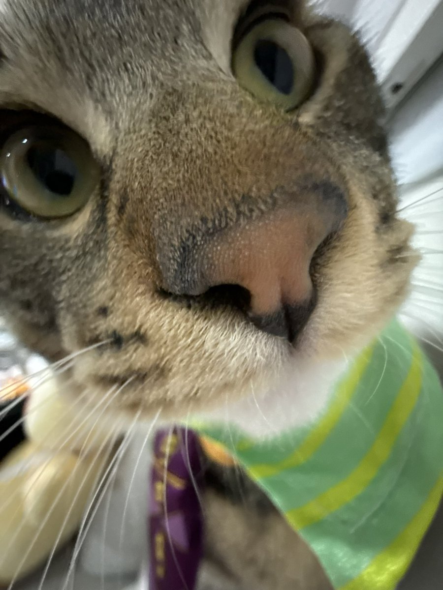 이거누르면…나랑사귀는거다