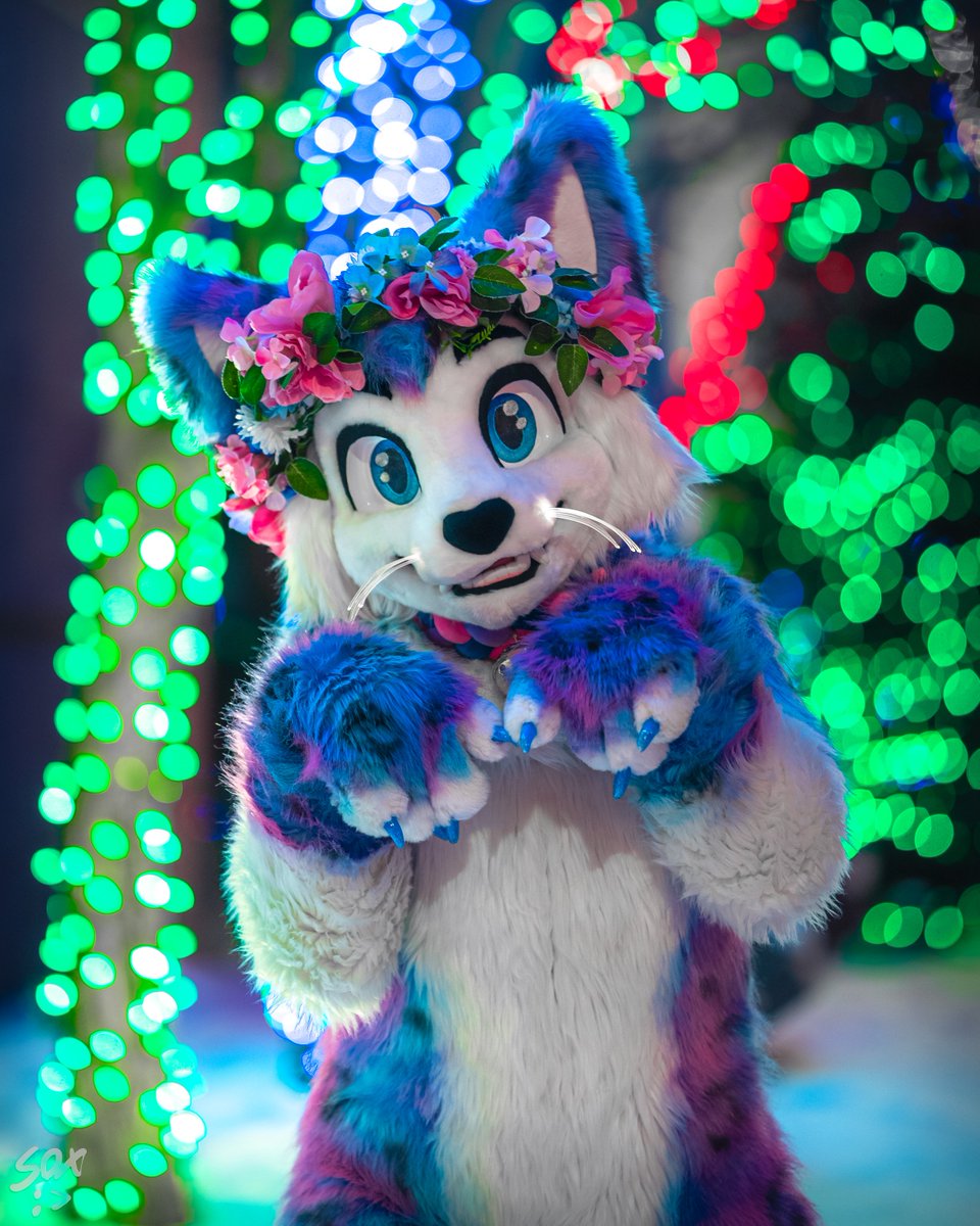 ✨🎄Meow-ry Christmas and Happy Holidays to you all! 🎄✨

May Santa Paws bring all you kitties plenty of balls of yarn, all you doggos some bones, and the dragons big piles of gold! I hope you all made the nice list! I'm hoping for some fishie and to finally catch that red dot!