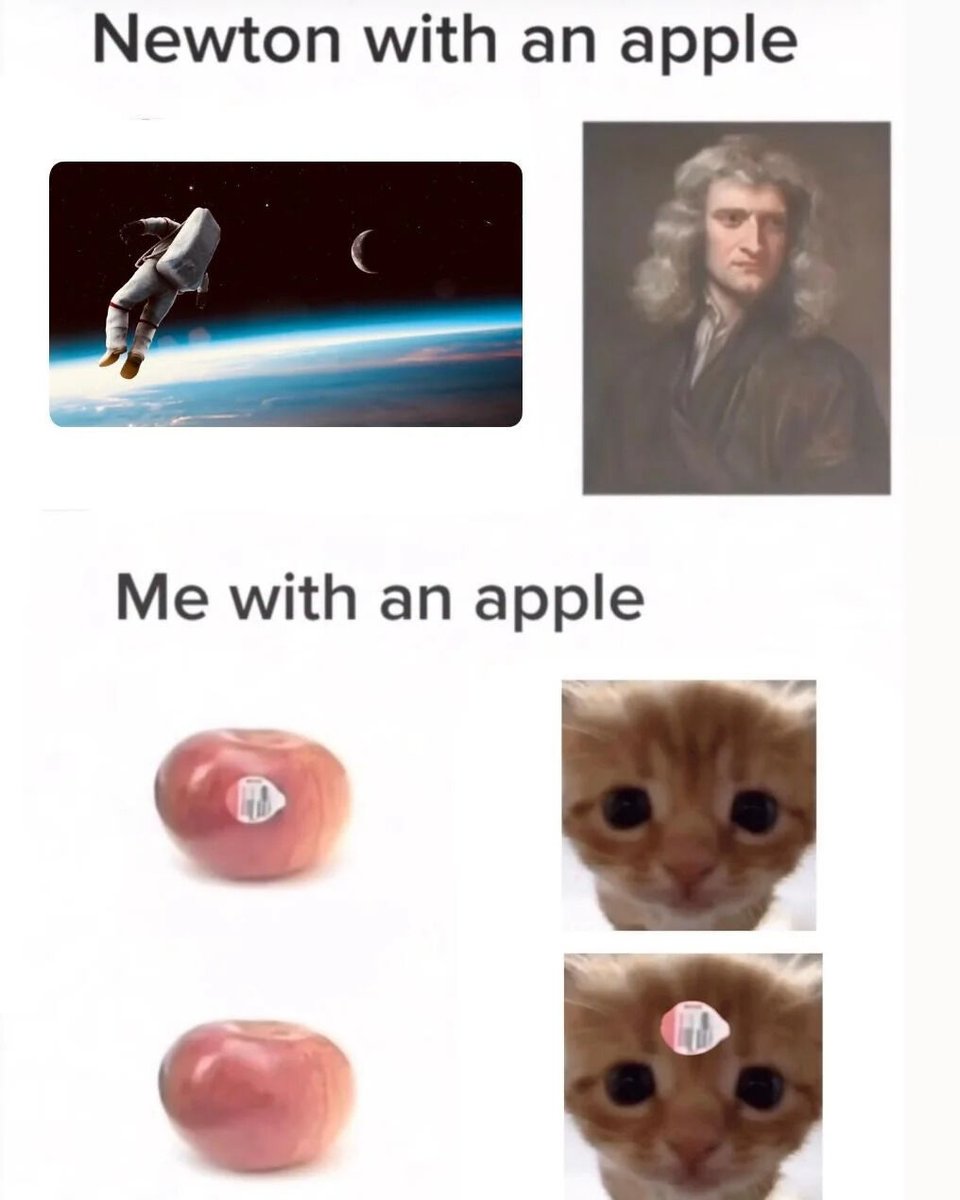 WholesomeMeme's tweet image. 