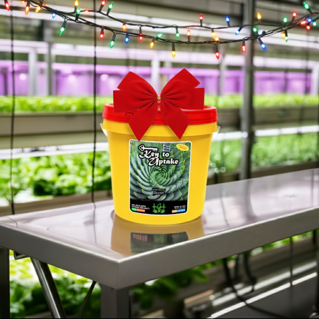 KeyToLifeSupply's tweet image. A steady grow is the best gift. 🎁🎄 Key to Uptake supports clean nutrient availability so plants stay balanced all season long.

#keytolifesupply #KeyToUptake #HolidayGrow #PlantHealth