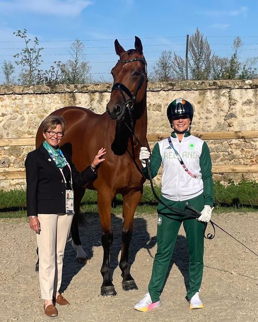 Dressage Ireland tweet media
