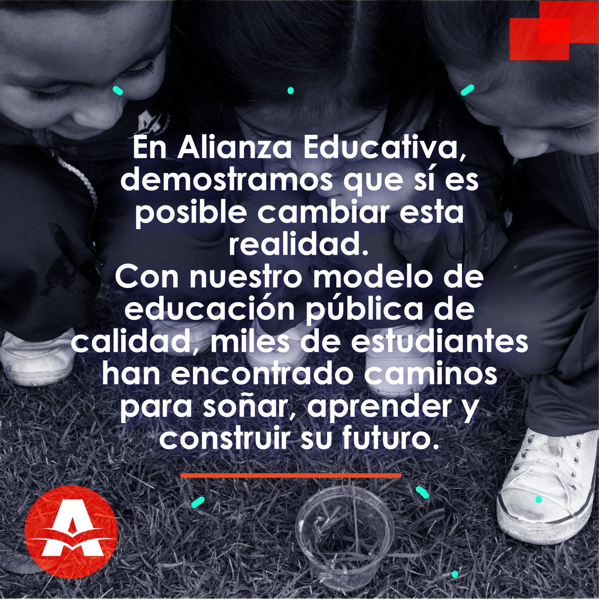 🎄¡En esta Navidad, el mejor regalo son las oportunidades!
Con tu donación a la campaña “Abriendo caminos para construir futuros posibles” ayudas a que más niños, niñas y jóvenes transformen su proyecto de vida a través de la educación.
🔗 Hazlo aquí: donaciones.alianzaeducativa.edu.co/dona-a-alianza…