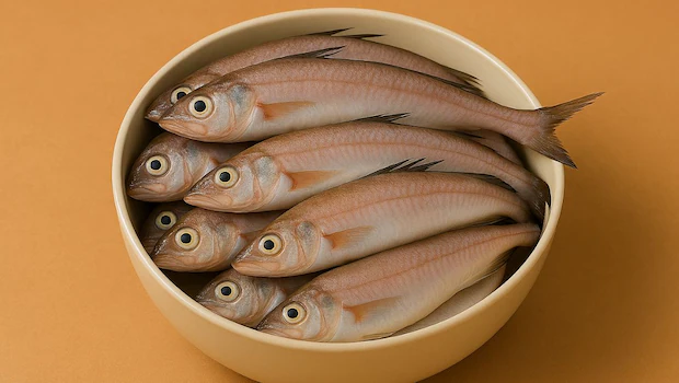 NDTVFood's tweet image. Ever Wondered Why Bombay Duck Is Called Duck? The Answer Will Amaze You
food.ndtv.com/food-drinks/ev…
#bombayduck #trivia #food