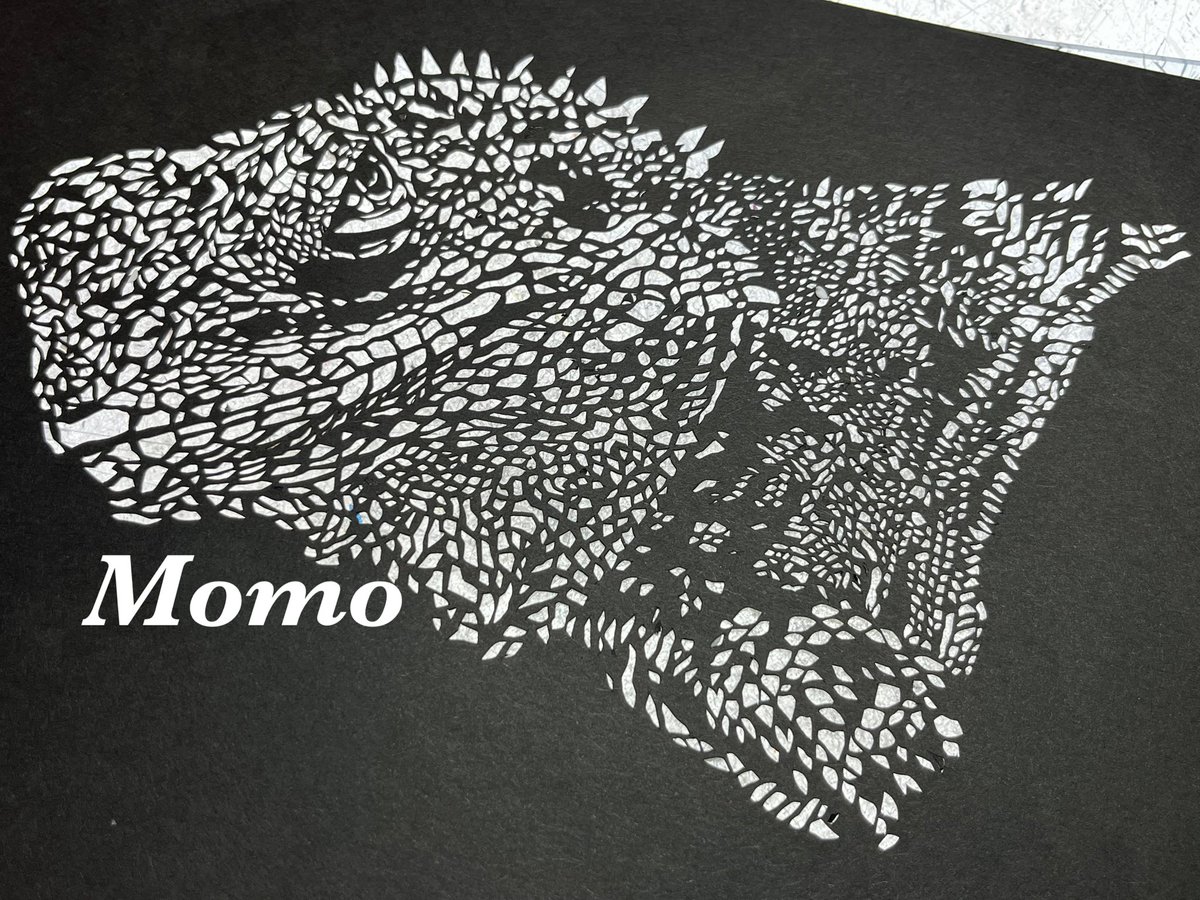 黒猫モモ  ページ 切り絵作家：黒猫モモ個展 「異彩紀行(いさいきこう)」 2025/11/10(月