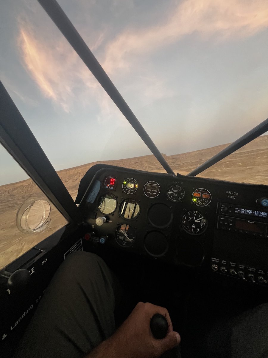 TORKY•تركي tweet media