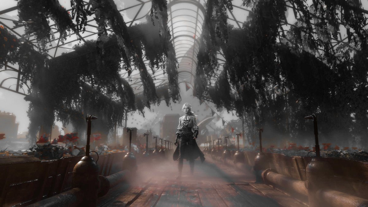 Disco 🌿🔦 tweet media