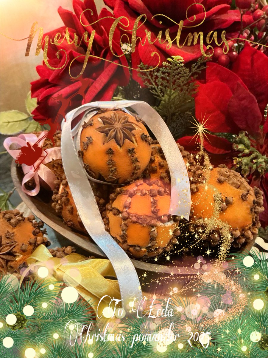 roseleonliliy78's tweet photo. Orange Pomander🍊✨🎄🌟
Christmas🎄に幸運を呼ぶ香りのお守り
完成しました💗
🦢🎸Ledaさんに✨🌟
素敵なクリスマスが訪れますように💗✨🌟
そして、今年いちばんのLiveとなりますように!!
#octagram #leda #MerryChristmas #orangepomander2025 https://t.co/Xph9gMuVCP