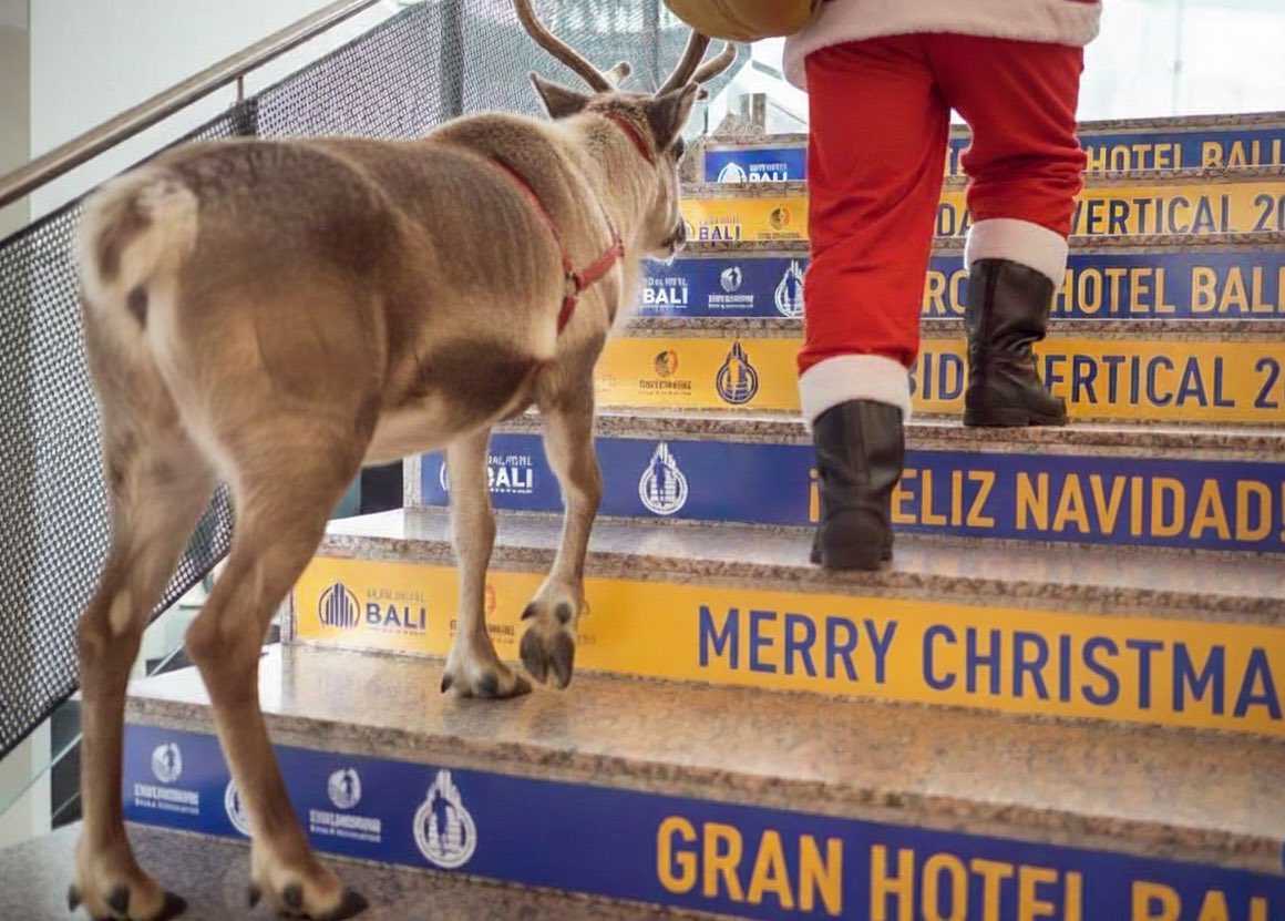 🎄✨ ¡Aquí nadie se escapa de entrenar… ni de desearos una Feliz Navidad!

El equipo de la #SubidaVertical os desea unas fiestas llenas de salud, ilusión y un próspero Año Nuevo 🎅🦌