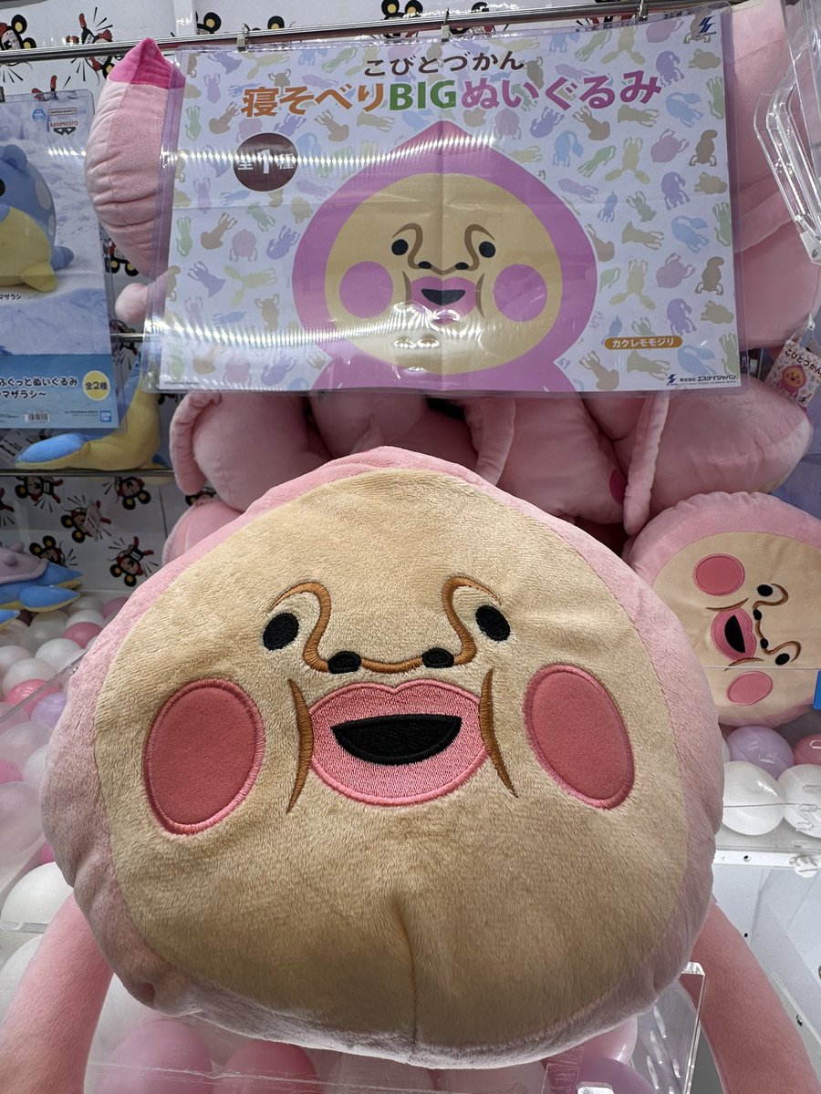 ✨新景品のご紹介です✨ こびとづかん 寝そべり BIG ぬいぐるみ