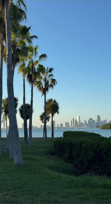 Twylatere's tweet image. Palm trees, sunshine, and city vibes 🌴☀️ #MiamiViews #Cityscape