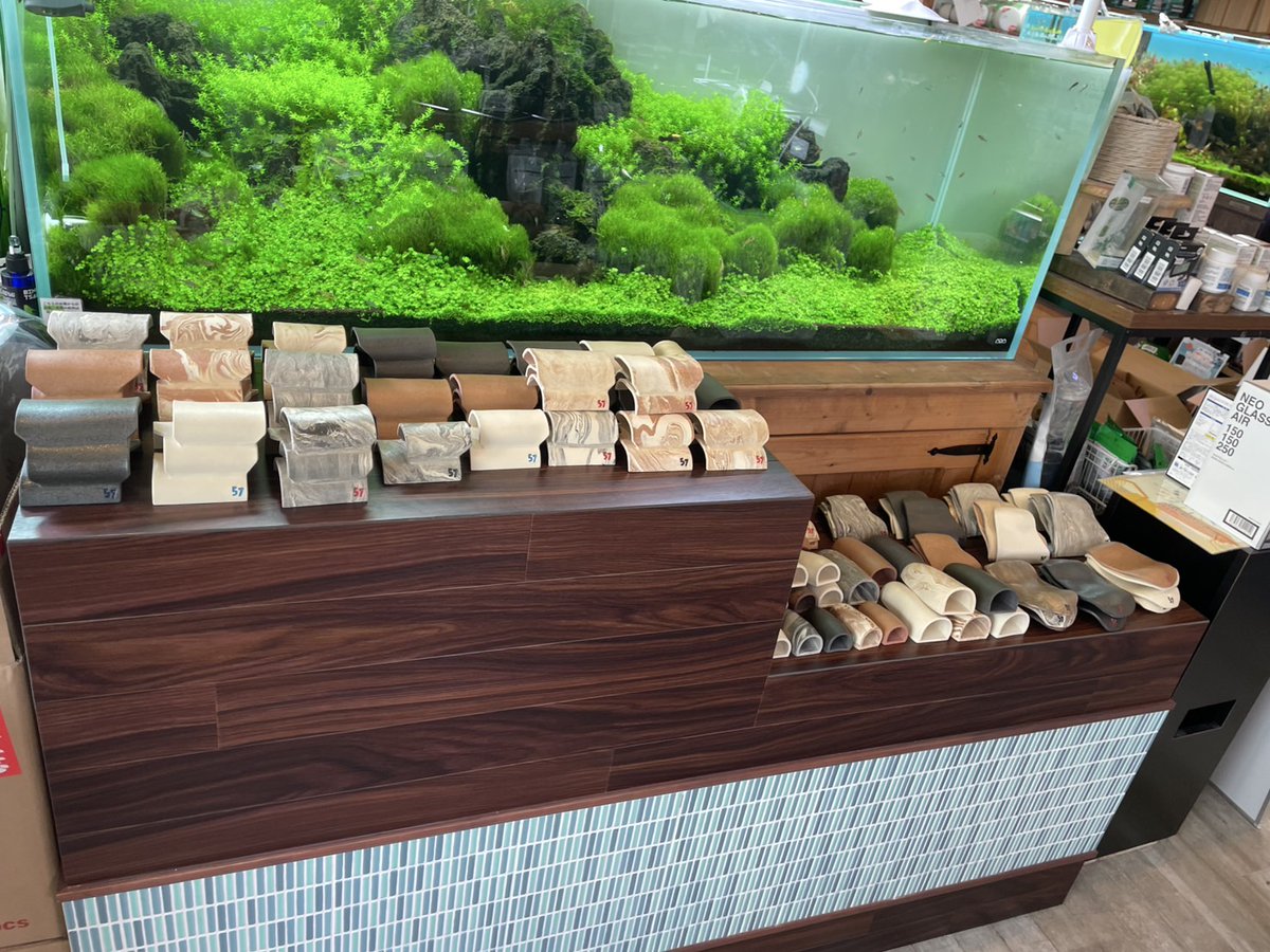 こんばんは！ グランデマンの飯田です！🥋 大人気のシェルターが入荷