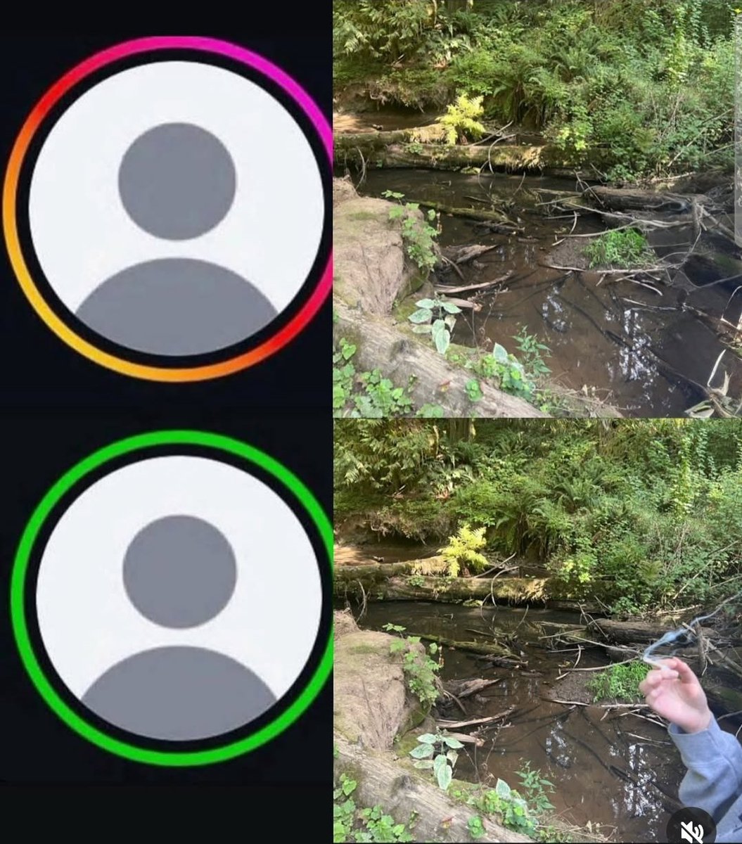 foide0a100's tweet image. 