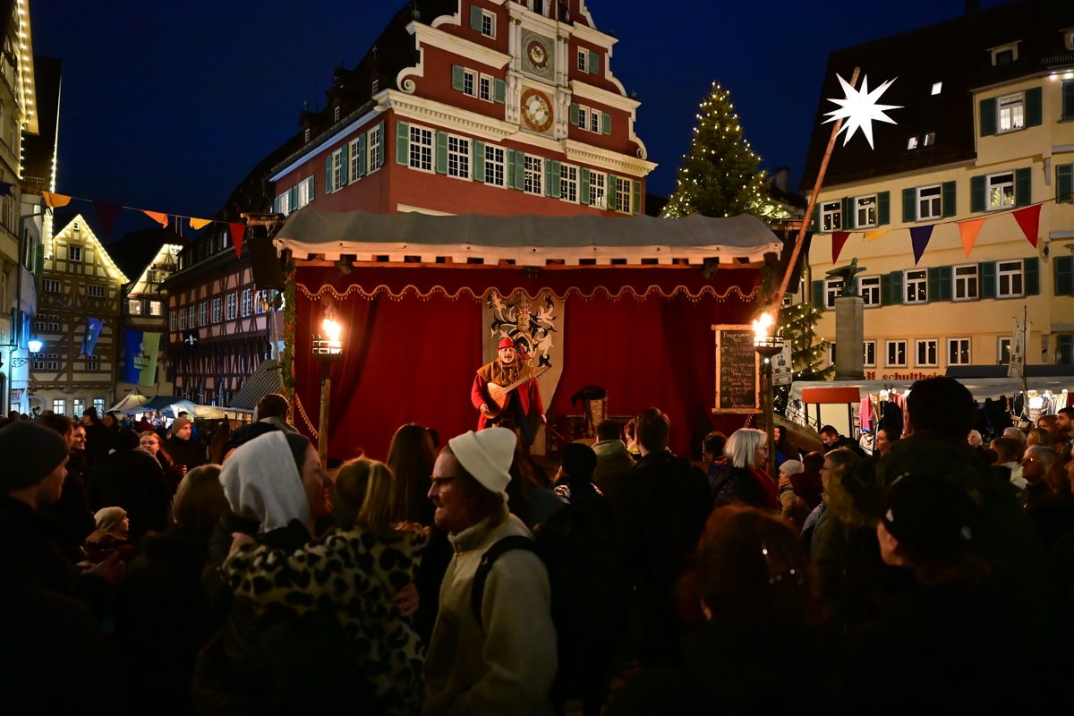 Meshcapade tweet media