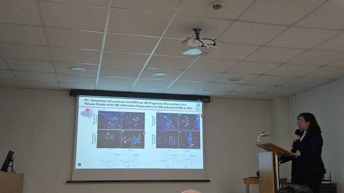 halocito's tweet photo. Después de 4 años, ayer denfendí mi tesis doctoral en la Facultad de Biología de la Universidad de Murcia🎓

No tengo palabras para agradecer al tribunal, a mi directora, a mi tutor y a todas las personas que me han apoyado durante todos estos años❤️‍🩹

A por los próximos retos💫 https://t.co/f6mZpQw1JY