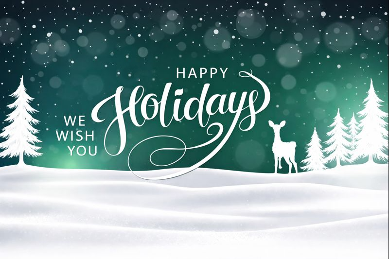 IndustrialVideo's tweet photo. From all of us at IVC, we wish you a wonderful holiday season and a peaceful New Year! https://t.co/nAuAOrungG