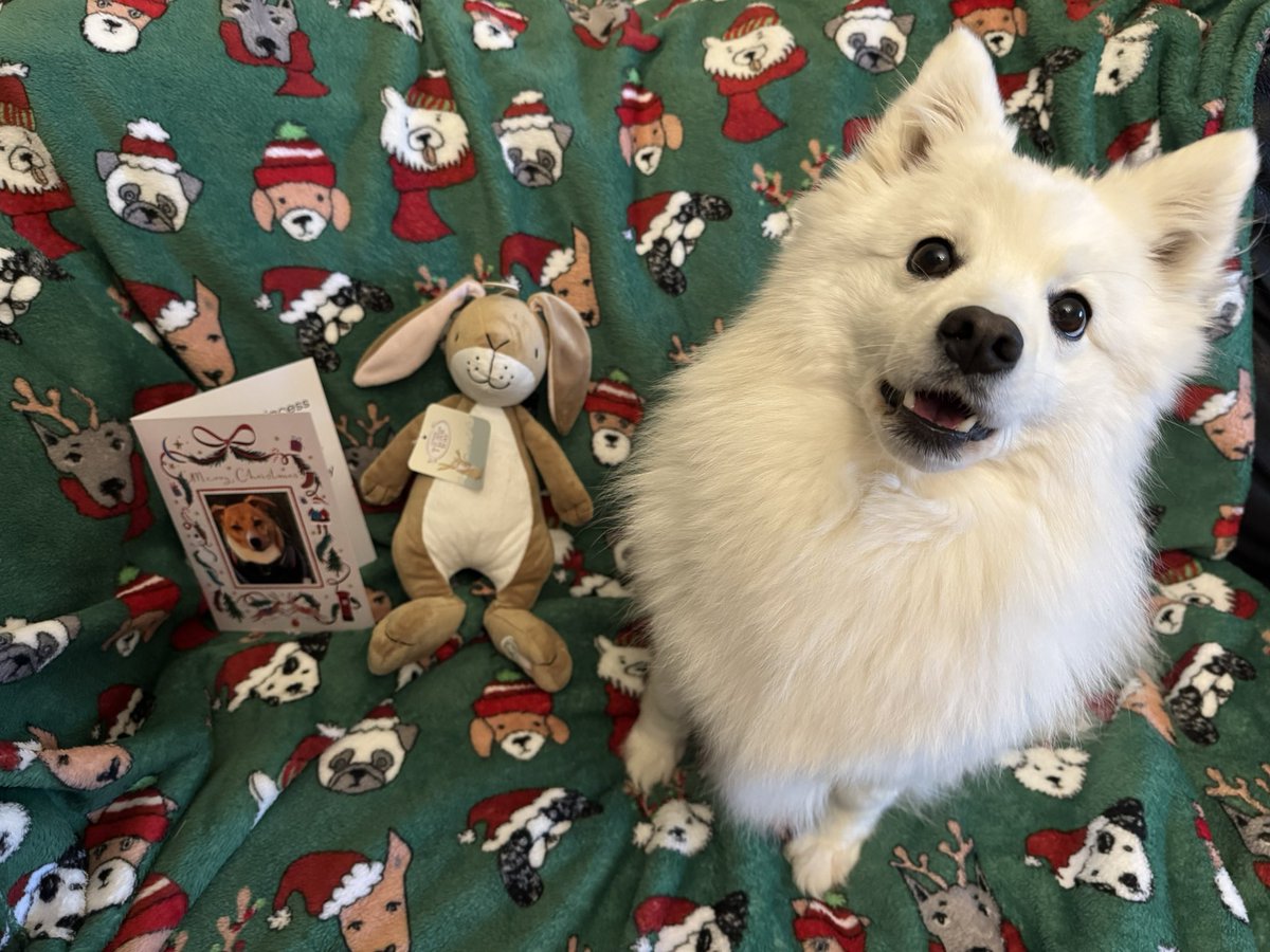 Thank you so very very much, my darling Teddy Truelove 💚💚💚 <a href="/Ted1Inquisitive/">Teddy</a> 
You’re a wonderful boy and I love you 💝💝