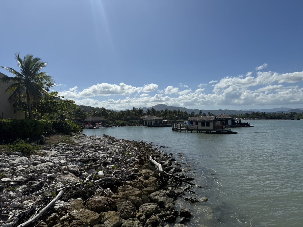 ashstackzzz's tweet image. 💙🩵🤍