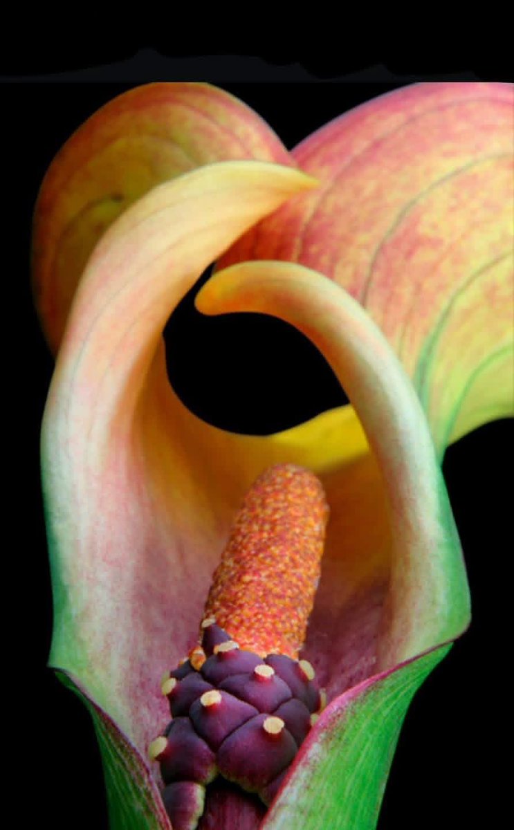 devilluca0919's tweet image. ในทางการแพทย์…
หลายเคสช่องคลอดสะอาดดี
แต่คู่ของคุณต่างหากที่เอาเชื้อมาให้
ช่องคลอดไม่ใช่ถังขยะชีวภาพ
ความสะอาดและความปลอดภัย เป็น “ความรับผิดชอบร่วมกัน”
ผู้ชายไม่ตรวจ ไม่ดูแลตัวเอง อย่าคาดหวังให้ร่างกายผู้หญิงรับกรรมแทน #ฝากถึงเพื่อนหญิง