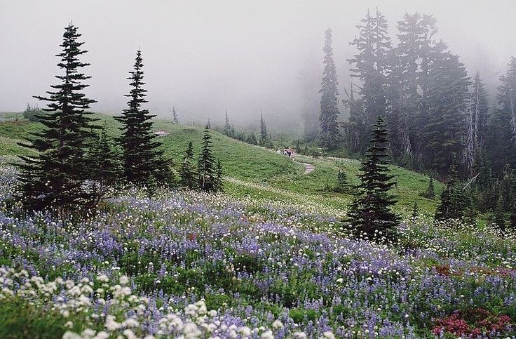 elemmiressoul's tweet image. best weather.