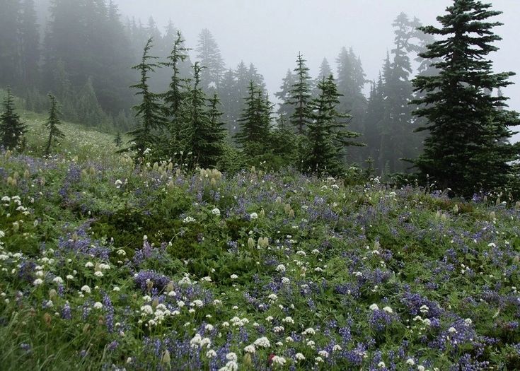 elemmiressoul's tweet image. best weather.