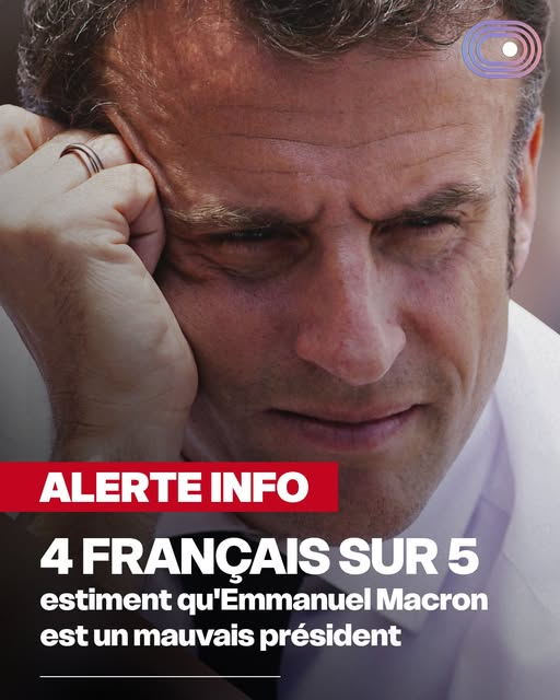 DunTFillAt's tweet image. Si la cote de popularité d'un président tombe en dessous de 50 %, une loi devrait exiger sa démission.