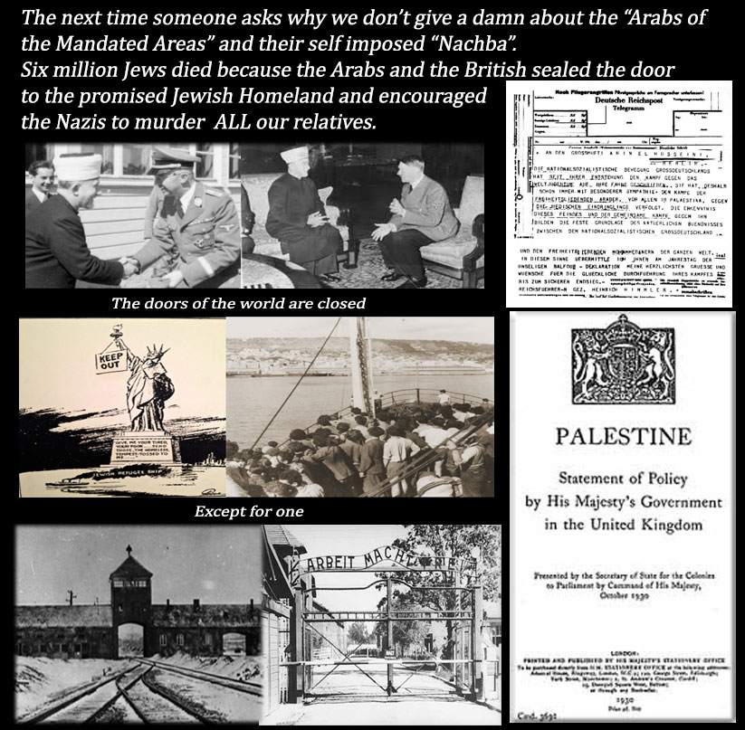 Silence Dugood 🇮🇱 ✡️ tweet media