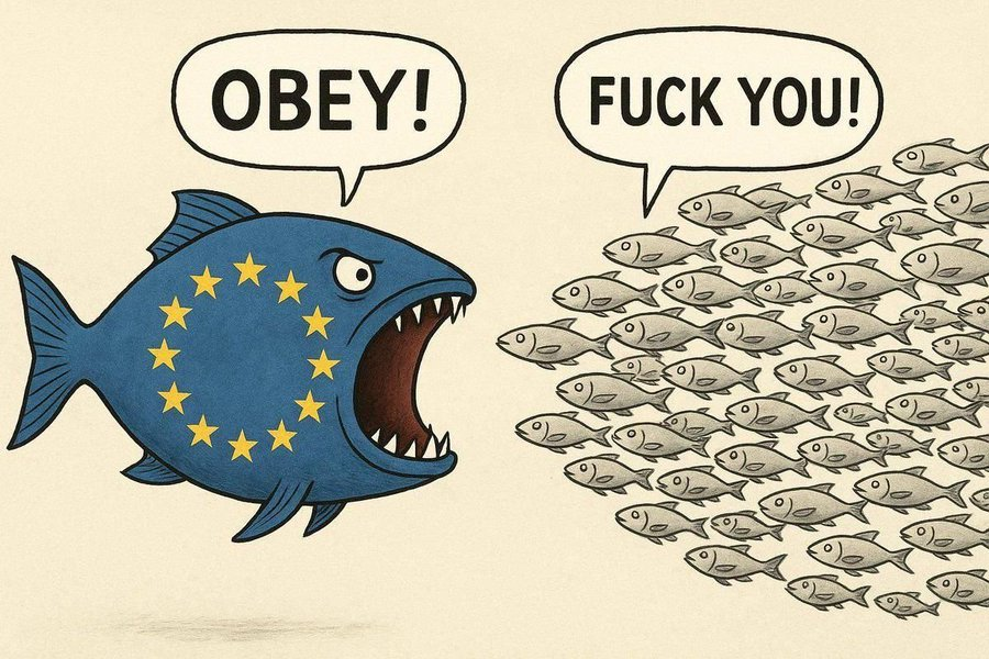 TOI AUSSI APPRENDS À DIRE NON À LA TYRANNIE !