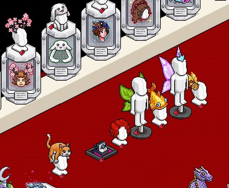 Hola 😘💕 busco expositor de placas de estos rares 💕💕