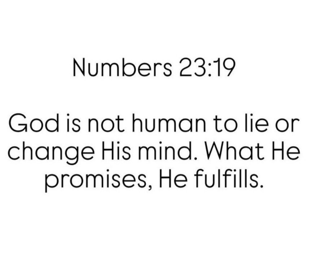 Holy__Bible1's tweet image. 