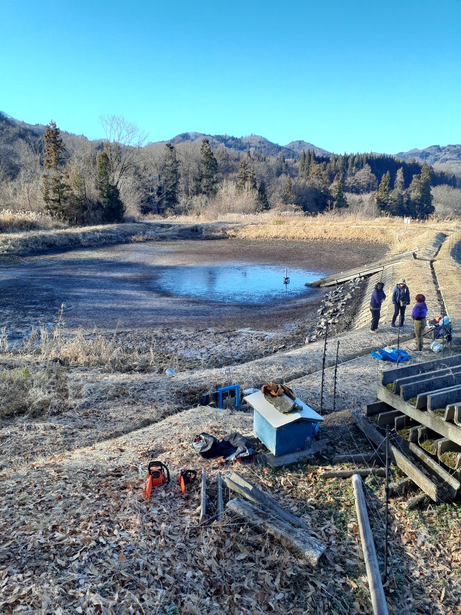 SATO Masahiro tweet media