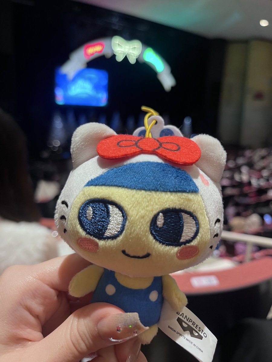 まめ子、メリチョイ行きました。 (今回はジュニア目的で