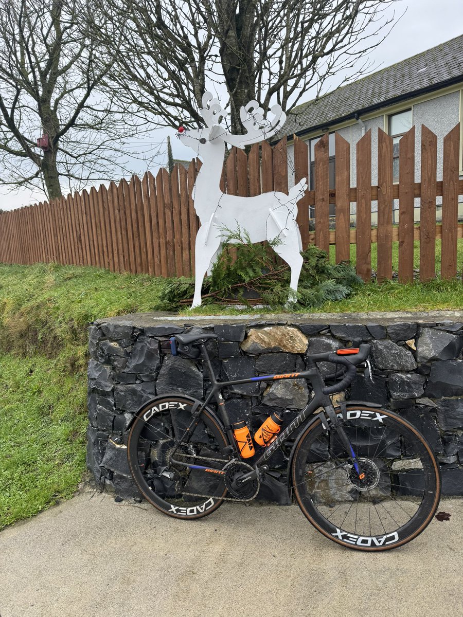 TheCyclingBlog tweet media