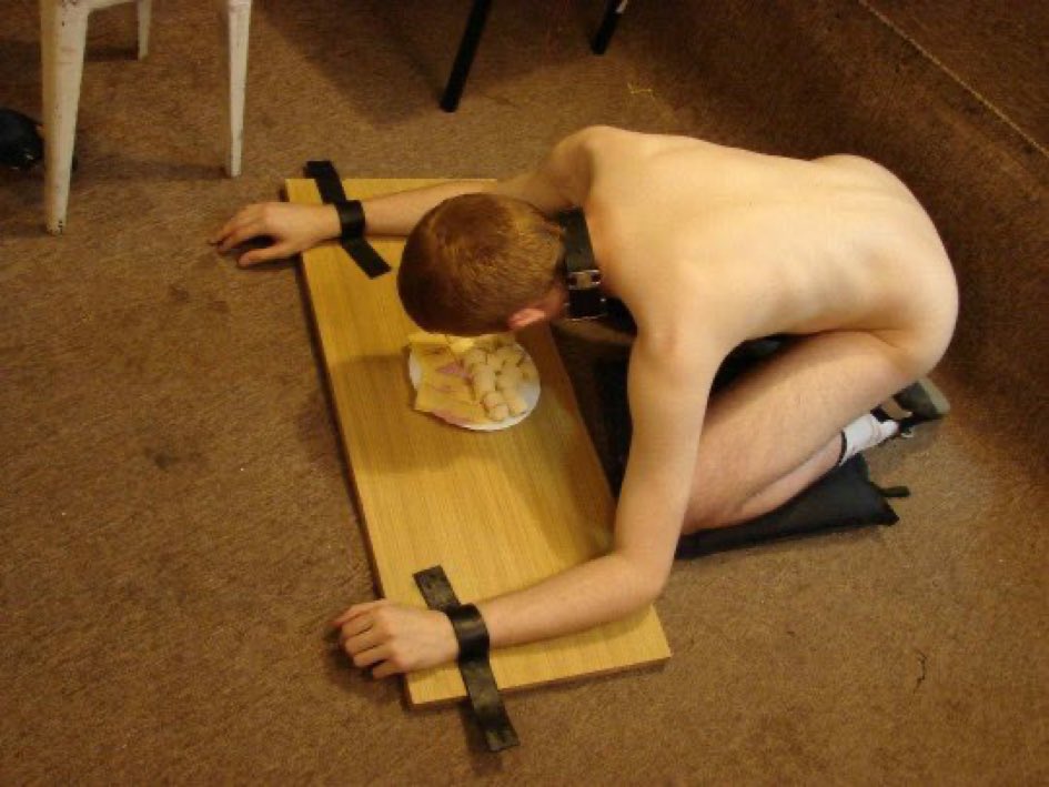 When you catch it using its hands to eat, so you have to take decisive action! 🐕