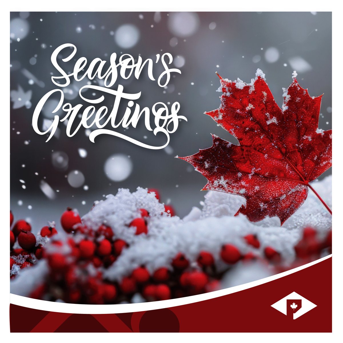 Polycultural tweet media