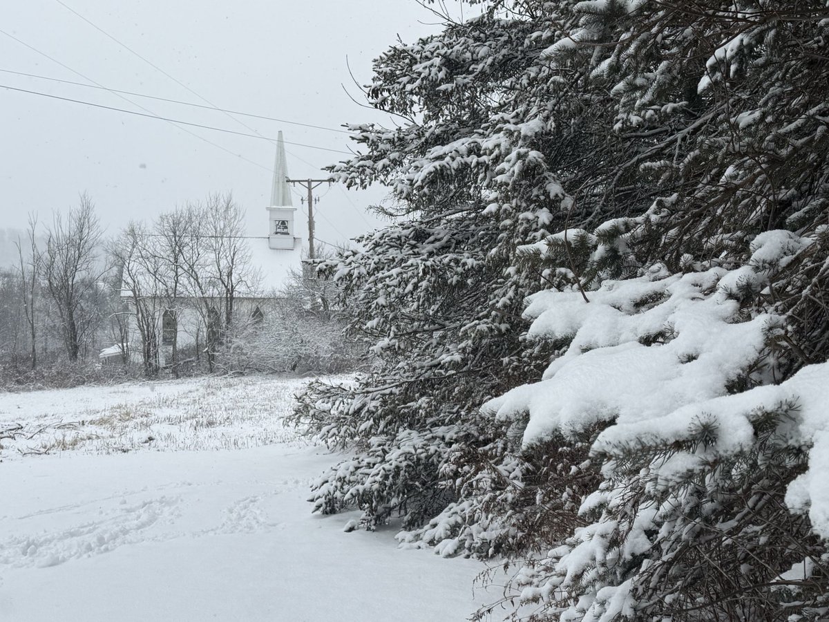 MichaelErat's tweet image. Some snowy Christmas Eve Eve photos from here in the village, about 11 miles southwest of Montrose, PA.
#pawx