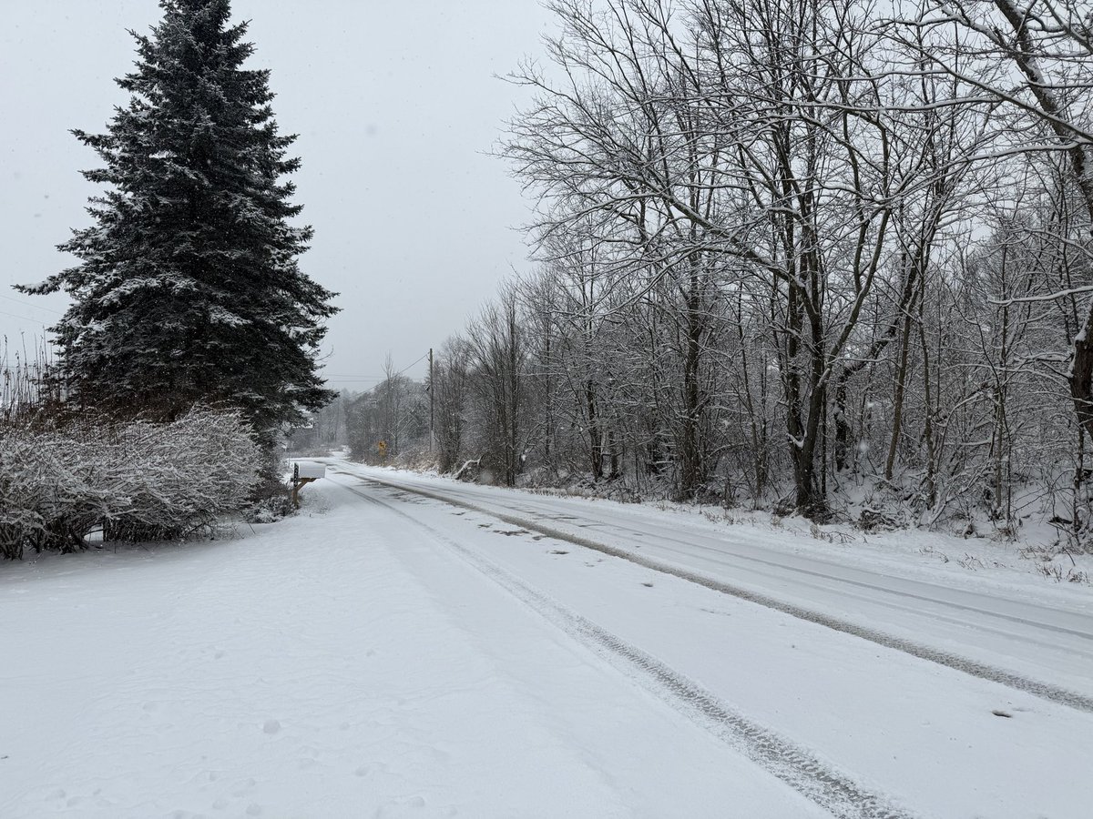 MichaelErat's tweet image. Some snowy Christmas Eve Eve photos from here in the village, about 11 miles southwest of Montrose, PA.
#pawx