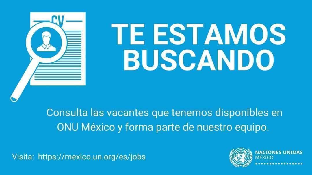 #MartesDeVacantes
💼Te estamos buscando. Forma parte del equipo de #ONUMéxico
Consulta más en: 📌bit.ly/3ciBxEX    #SomosONU