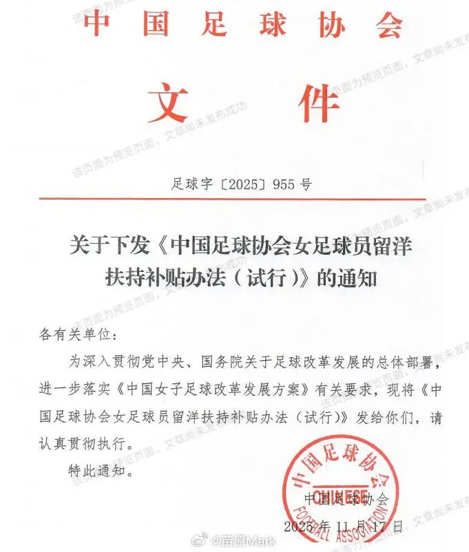 China Sports Vision 2050 tweet media