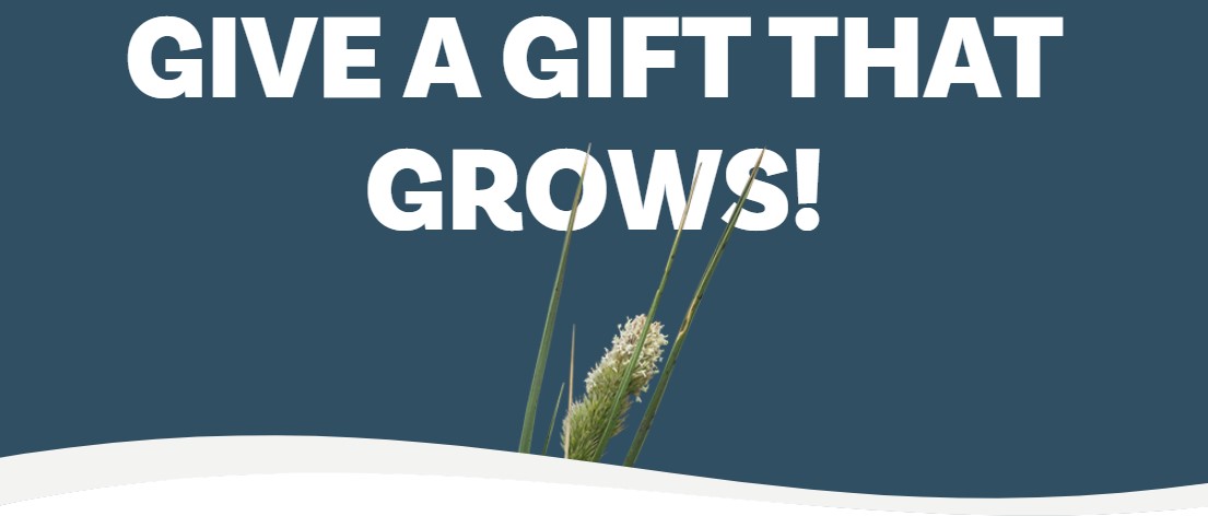 Falklands Conservation tweet media