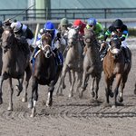 Photo by Thoroughbred Racing Initiative (@TBRacingInit)