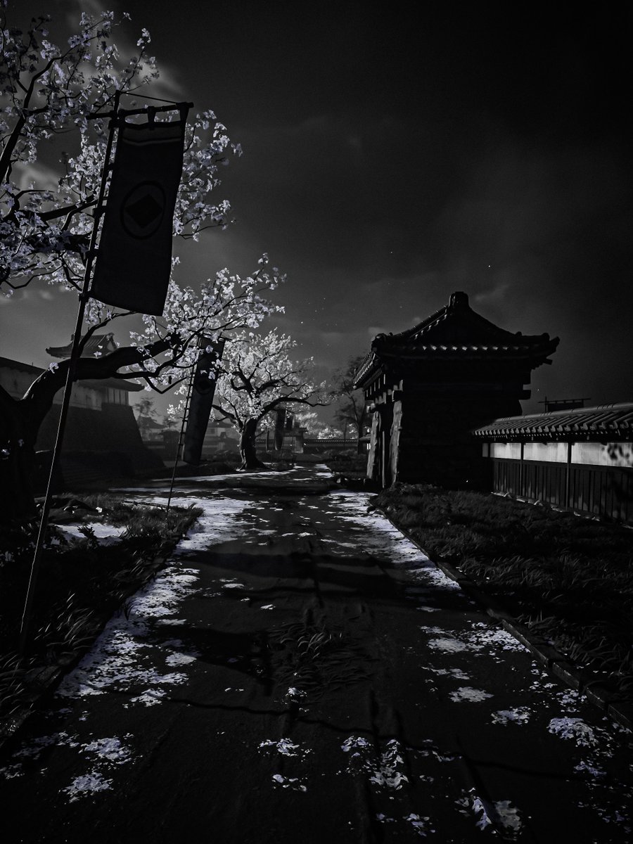 Reflekt11's tweet photo. Ghost of Yotei.

#GhostofYotei #VPCONTEXT #VirtualPhotography #WorldofVP #VGPNetwork #VPRT https://t.co/XLgYu6sKvb