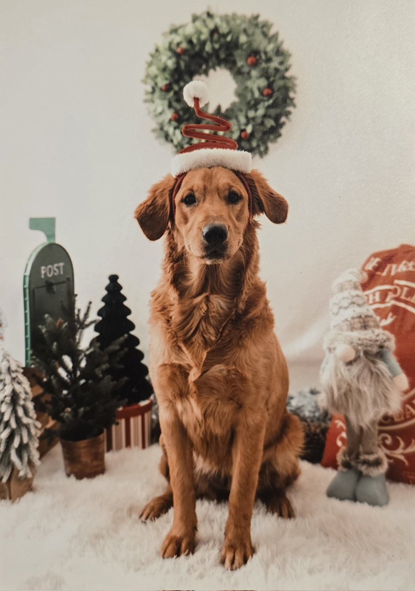 Señor Doctor Profesor PokeAnestesia tweet media