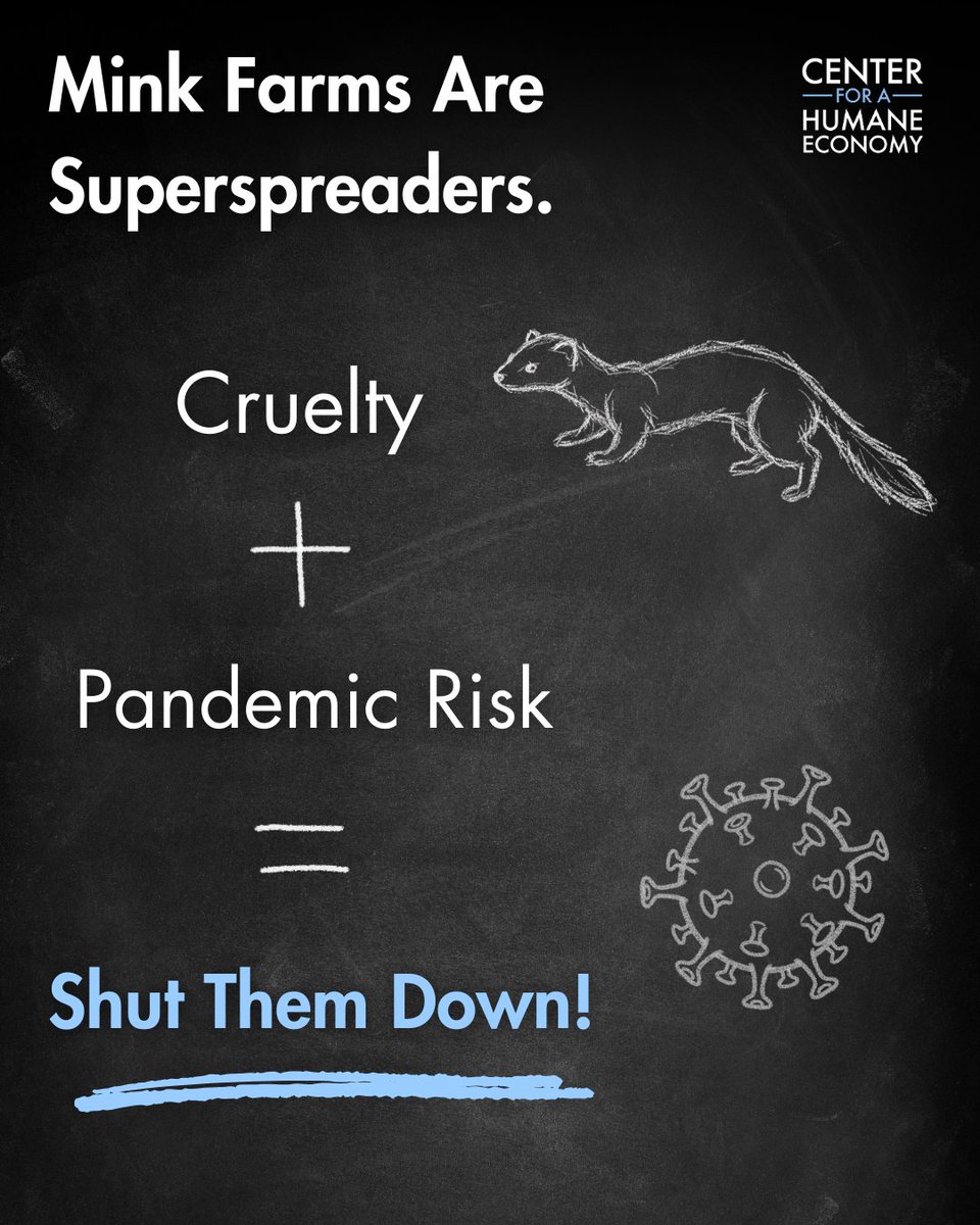 Center for a Humane Economy tweet media