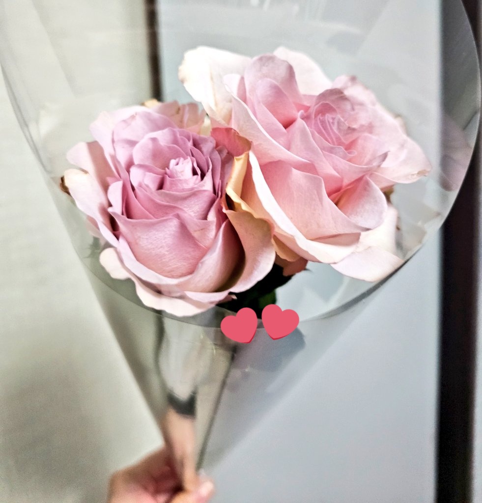 IRis_VTuberxx's tweet photo. 帰り道、お花綺麗だなぁって見とれてたら…
「閉店間際だから」って花屋のお兄さんからお花を頂いてしまった…🌹💭
しかもまさかの薔薇…だと！？1輪でも嬉しいのに…ありがとうございます😭🙏
淡いピンクが綺麗…大切に飾ります😽︎💝 https://t.co/8e5JKOmarL