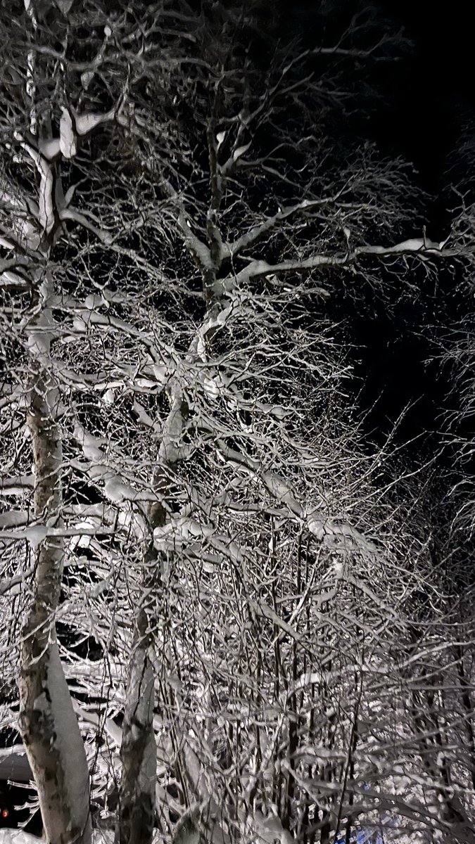 Hyvää joulua! Pyereh jouvlah! 🎄