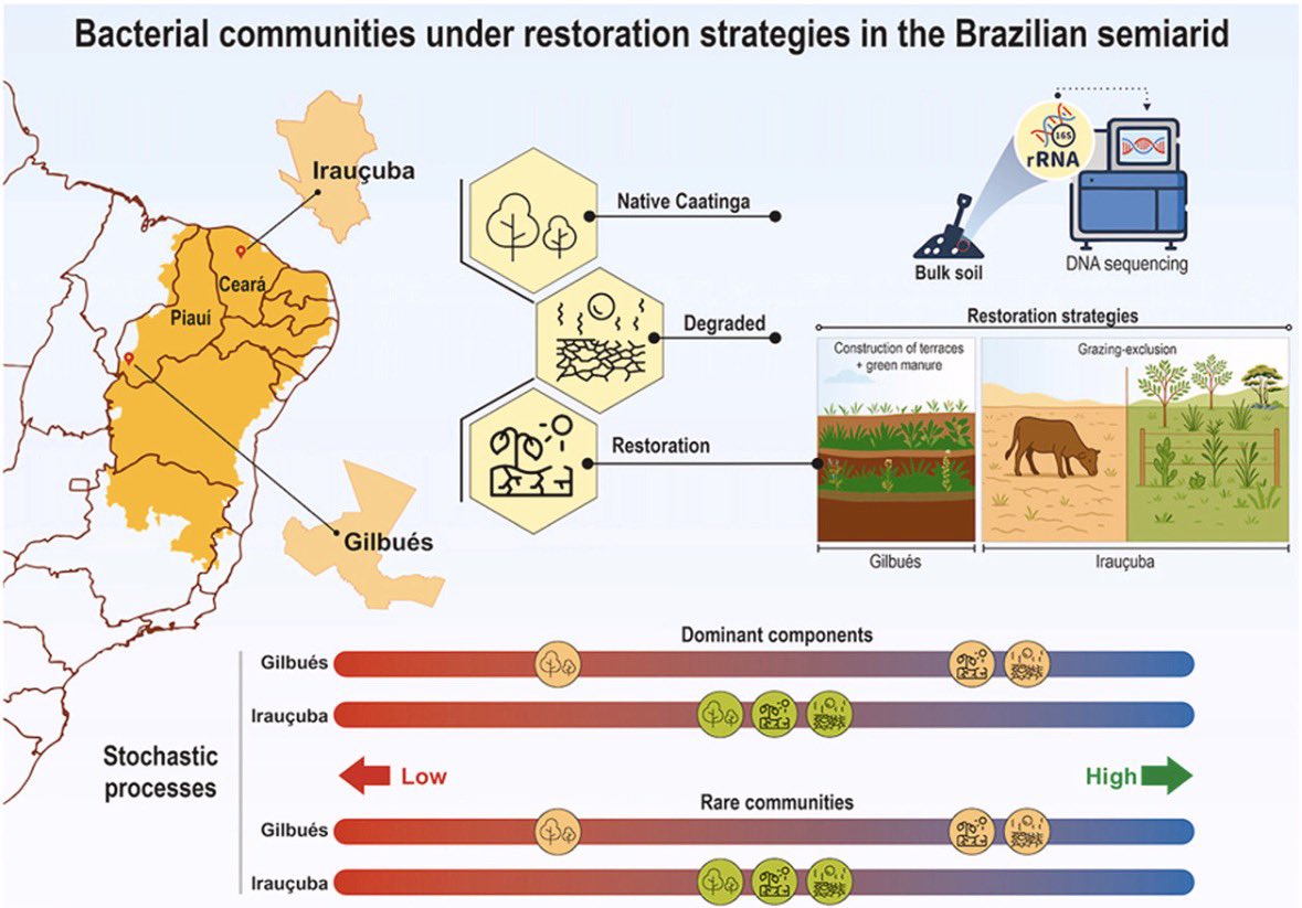 Lucas William Mendes tweet media