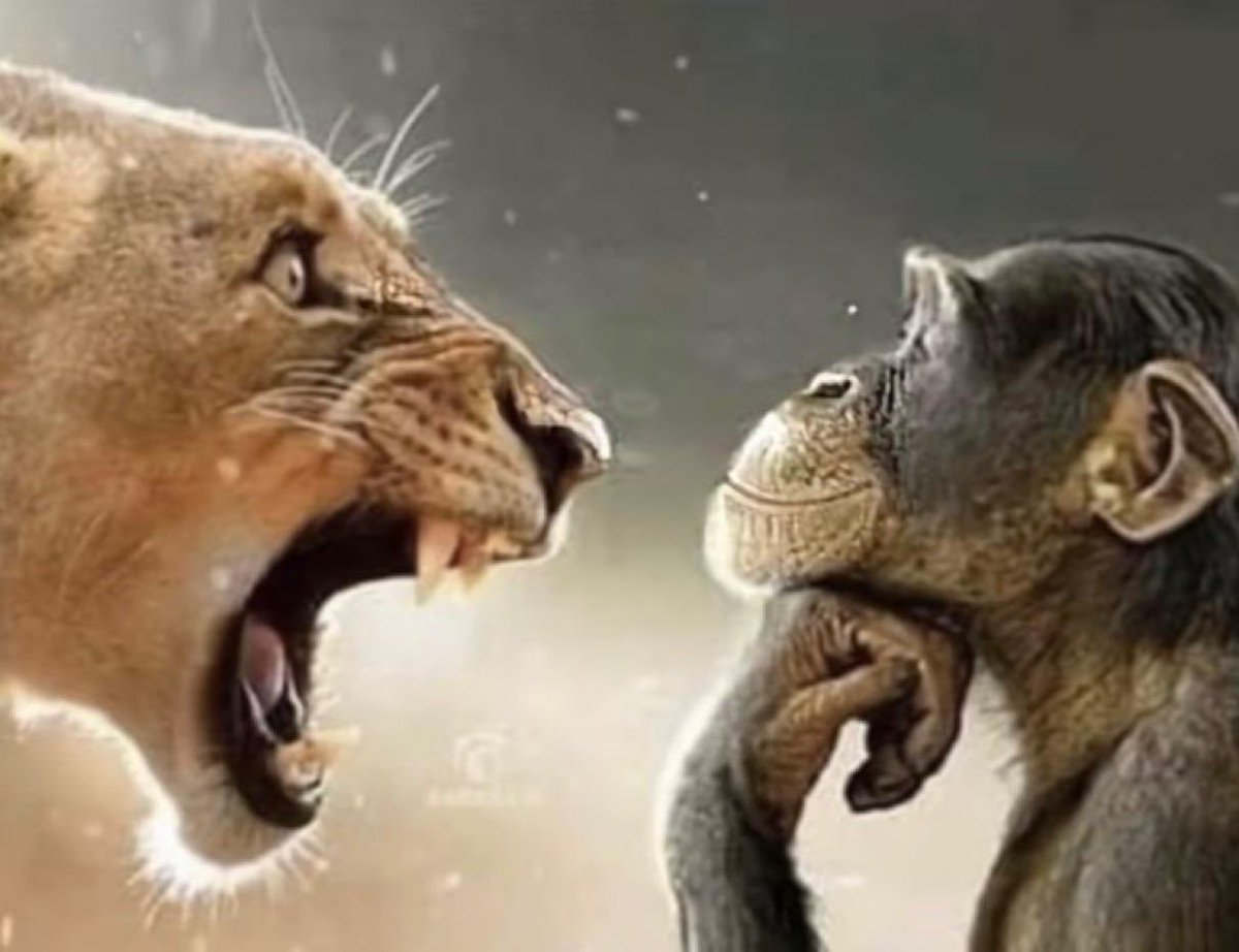 jurgensen tweet media