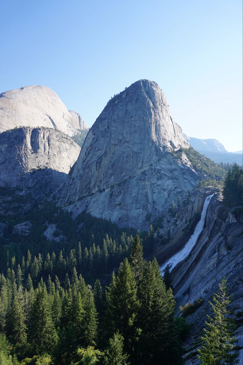 chad wick tweet media