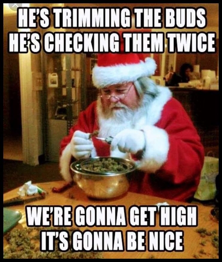 OneLoveDelivery's tweet photo. #420 #weedlife #Christmas #onelovedelivers https://t.co/0nYES3qwvr