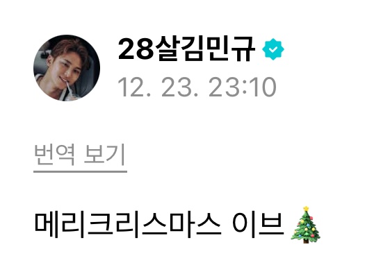 251224 mingyu weverse 🌟 #민규 #MINGYU 

🐶 merry christmas eve 🎄